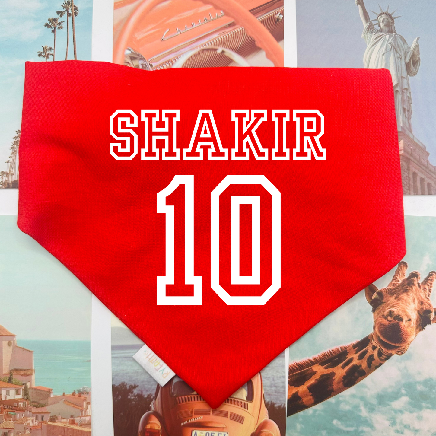 Khalil Shakir Dog Bandana
