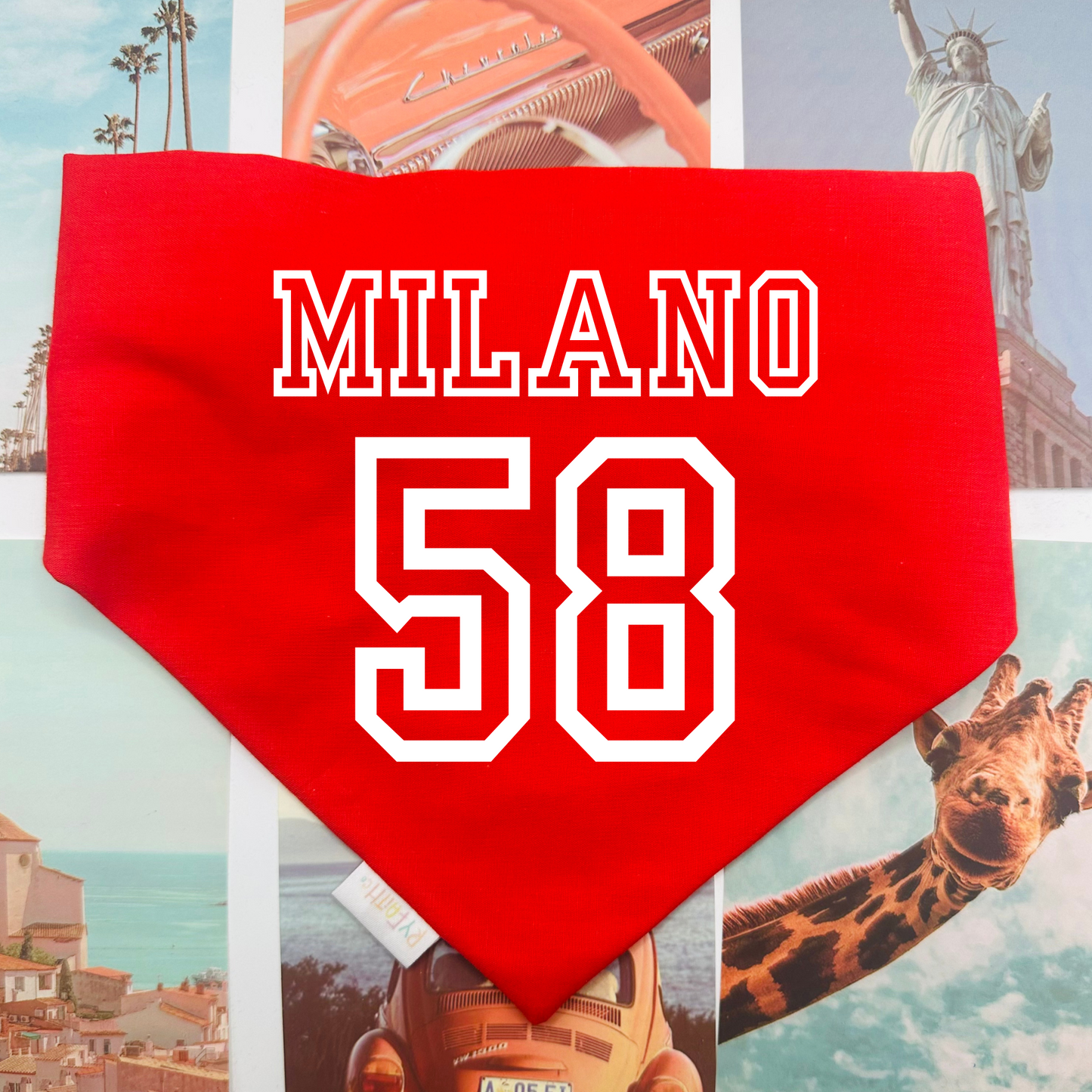 Matt Milano Dog Bandana