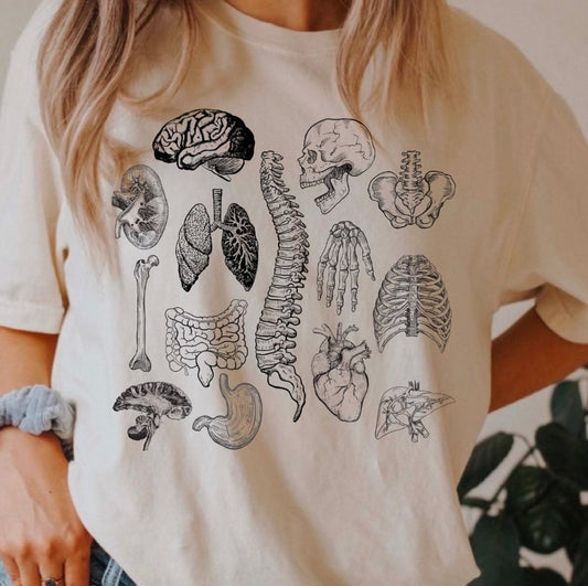 Anatomy Tee